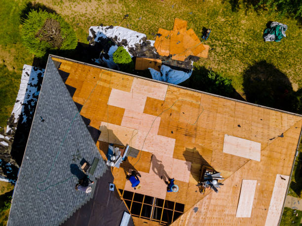 Best Emergency Roof Repair  in Scott, LA